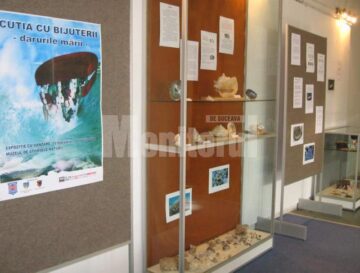 Expoziția Cutia cu bijuterii - Darurile mării