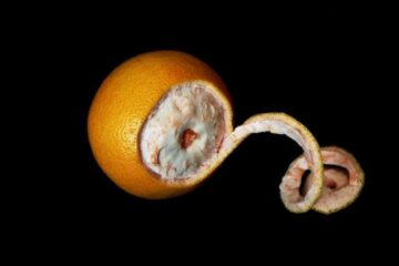 Grepfrutul poate un ingredient miraculos și pentru tratarea părului Foto: Viktors Kozers