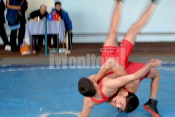 Luptătorii suceveni intră astăzi în febra competițiilor