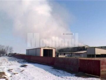 În flăcări: Un abator de 2,2 milioane de euro, făcut scrum de la un scurtcircuit electric