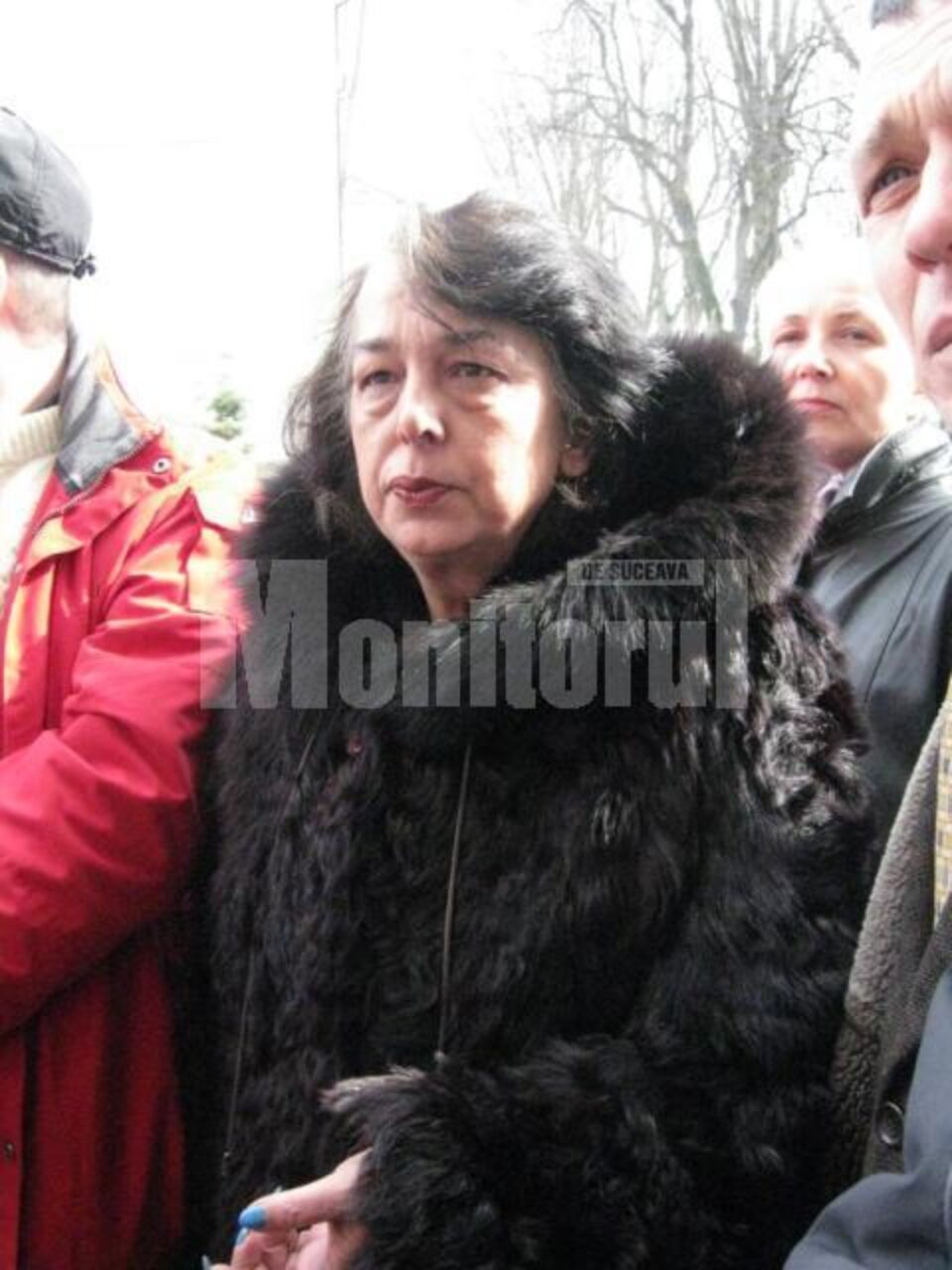 Viorica Ionita, profesoara din Falticeni care a fost in greva foamei