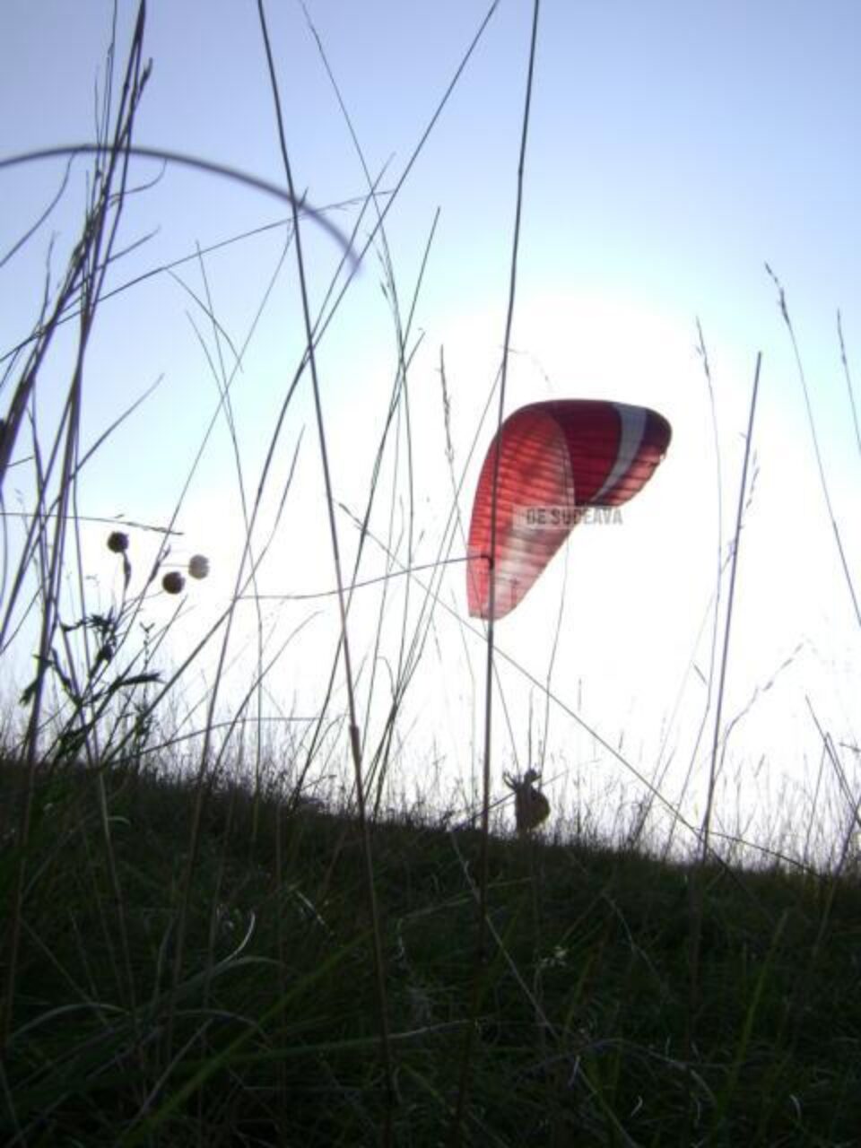 Asociația Sportivă Cumullus din Suceava va începe din această lună cursurile de zbor cu parapanta