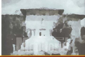 Carte album, „Primăria Dolhești, județul Suceava”