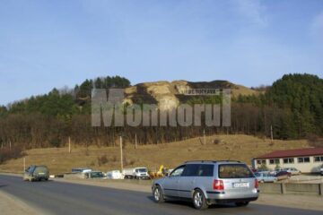 Incendiul a fost stins înainte de a se extinde la pădurea din imediata apropiere, arzând doar vegetația uscată de pe deal