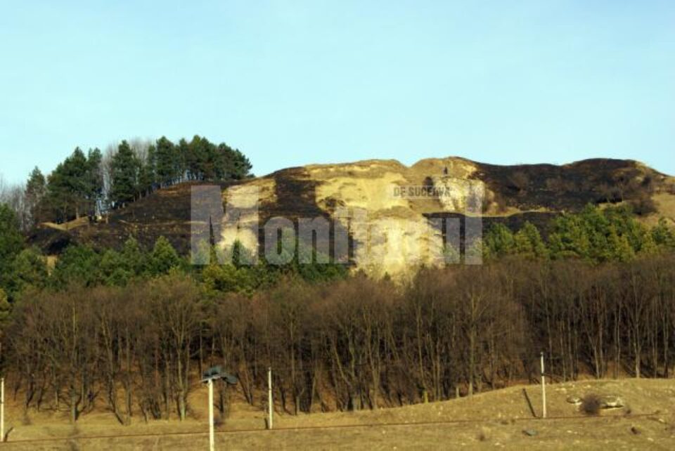 Fondul forestier era la câțiva metri de incendiu