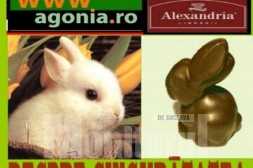 “Despre singurătatea iepurelui de ciocolată”