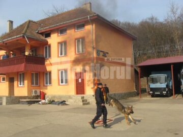 Evoluția câinilor Jandarmeriei