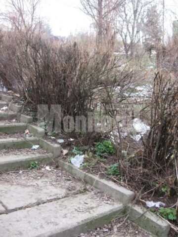 Gunoaie aruncate pe spațiile verzi din parcul Șipote