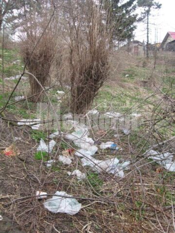 Gunoaie aruncate pe spațiile verzi din parcul Șipote