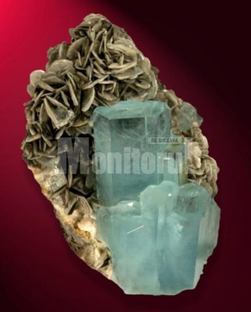 Expoziția „Mineralia”