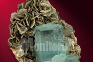 Expoziția „Mineralia”
