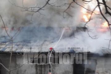 Câteva scântei sărite în urma tăierii cu flexul a unei hote, cauza incendiului de la fosta fabrică de mobilă GMG
