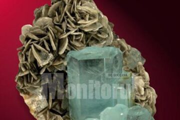 Expoziția Mineralia