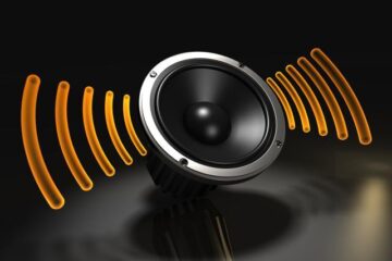 Un nou studiu arată că poluarea fonică omoară populația în secret