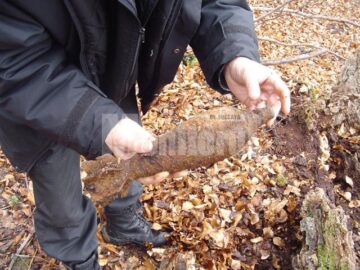 Copilul i-a dus pe pirotehniști în locul în care a găsit bomba