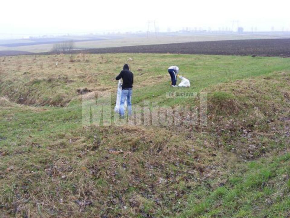 Elevi fălticeneni au ecologizat o porțiune a E85