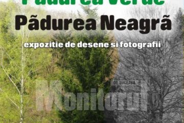 Expoziția „Pădurea verde - Pădurea neagră”