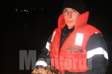 Cățelul și pompierul care l-a salvat