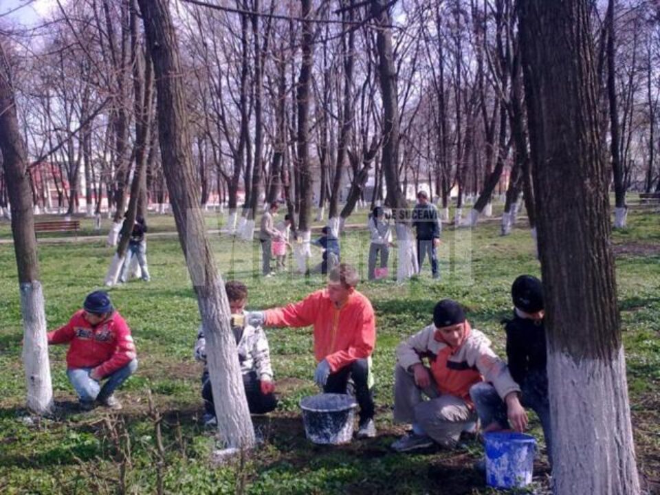 Acțiuni de ecologizare a comunei Dumbrăveni