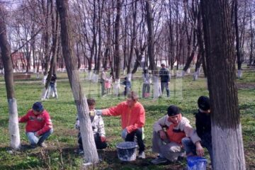 Acțiuni de ecologizare a comunei Dumbrăveni