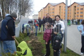 300 de copăcei cu nume de copii, plantați la stațiile OMV din Suceava
