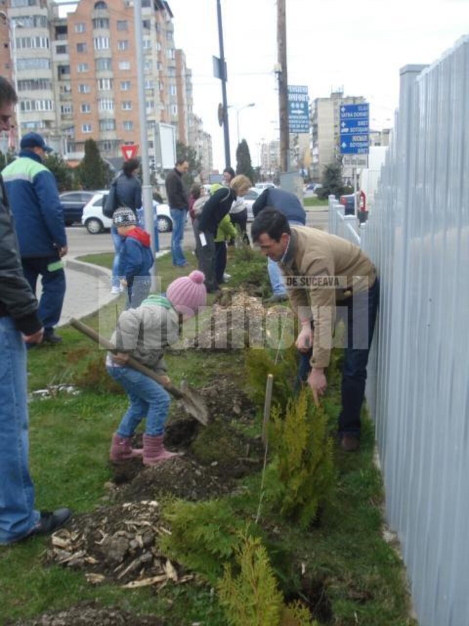 300 de copăcei cu nume de copii, plantați la stațiile OMV din Suceava