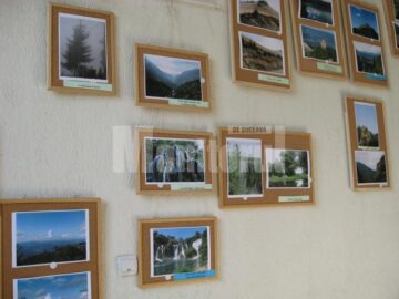 Expoziție de desene Și fotografii