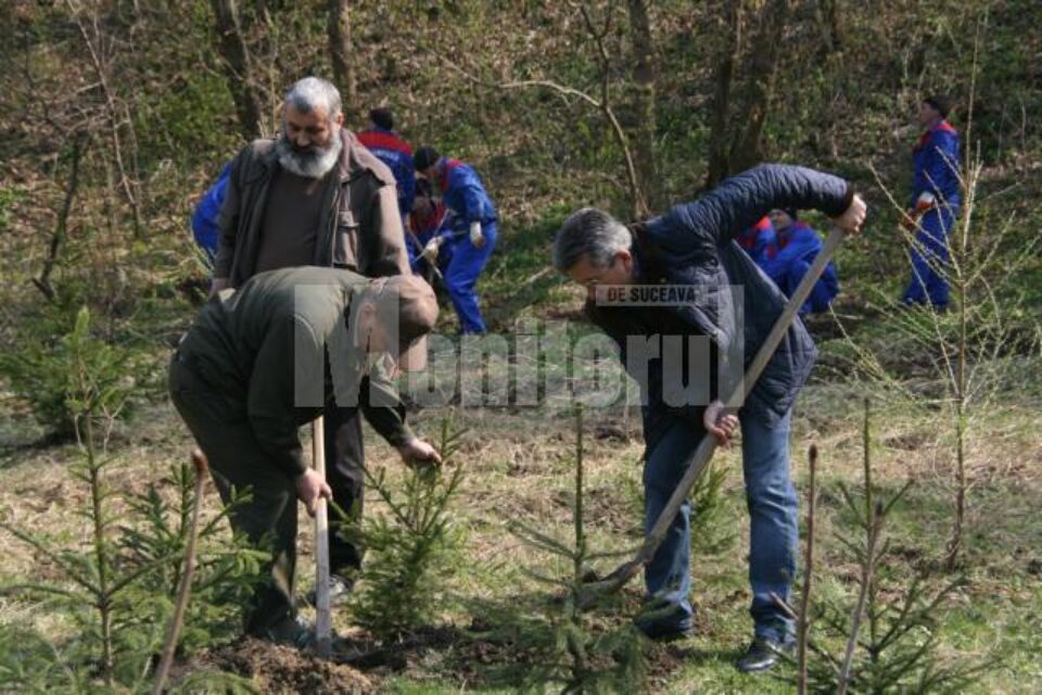 Philip Rozopol și comisarii de mediu, plantând viitorii arbori din parcul Șipote