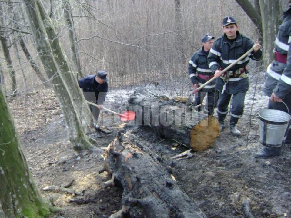 Echipajele de intervenție au muncit mai bine de patru ore pentru a limita pagubele