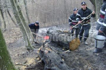 Echipajele de intervenție au muncit mai bine de patru ore pentru a limita pagubele