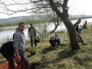 Elevii de la Școala „Sf. Andrei” din Gura Humorului, la acțiunea de împădurire