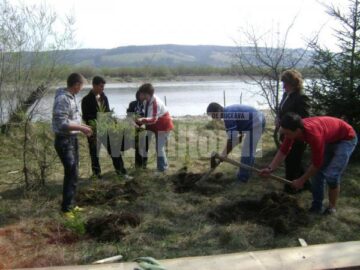 Elevii de la Școala „Sf. Andrei” din Gura Humorului, la acțiunea de împădurire