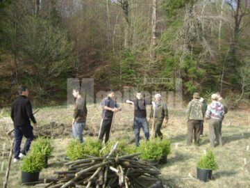 Elevii de la Școala „Sf. Andrei” din Gura Humorului, la acțiunea de împădurire