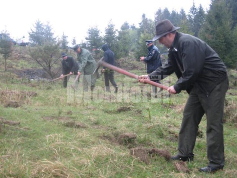 În comuna Bogdănești a fost împădurită o suprafață de un hectar de teren degradat