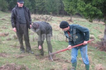 În comuna Bogdănești a fost împădurită o suprafață de un hectar de teren degradat