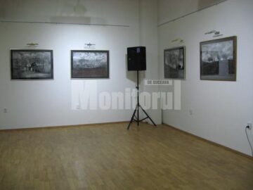 Secvență din expoziția artistului plastic Călin Baban