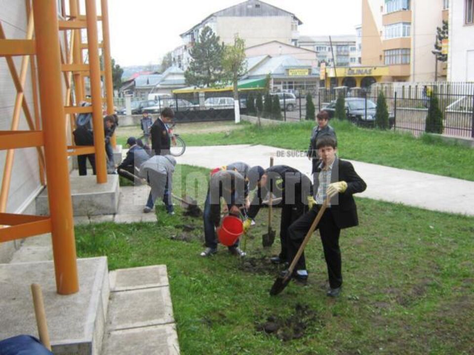 Elevii de la „Miron Costin” au plantat 136 de puieți de brad