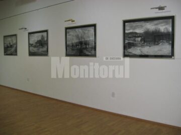 Secvență din expoziția artistului plastic Călin Baban