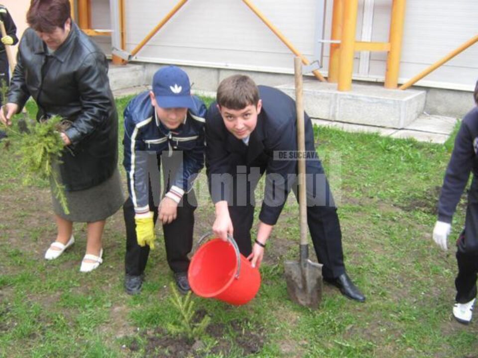 Elevii de la „Miron Costin” au plantat 136 de puieți de brad