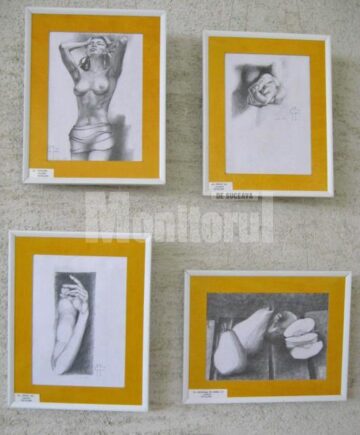 Secvență din expoziția Studiu și culoare