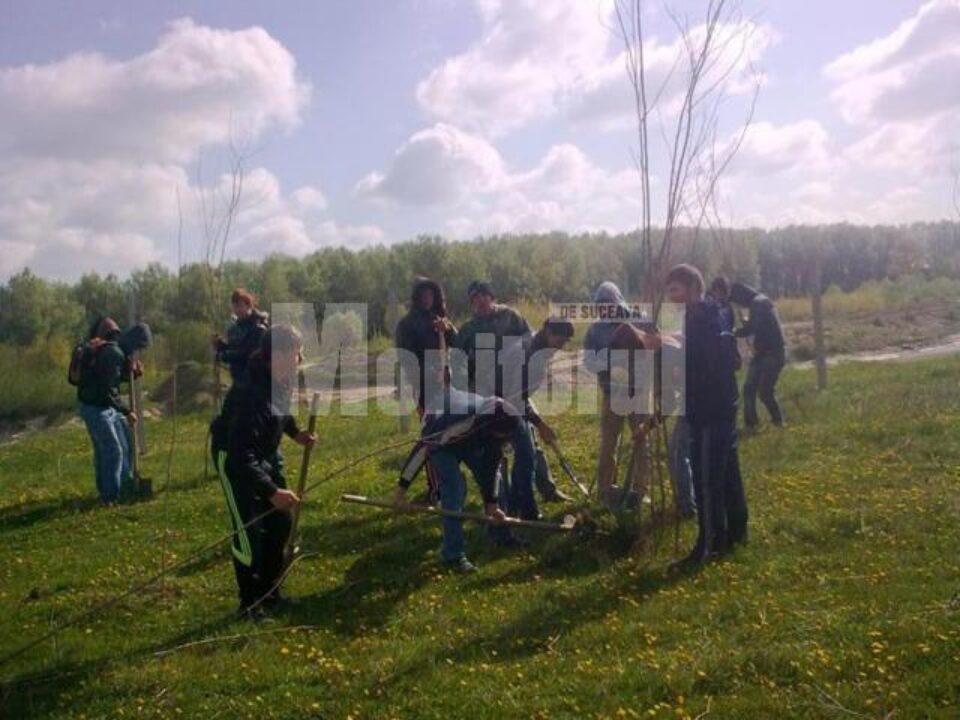 Elevul și „puiul” de arbore, o acțiune inedită la Dumbrăveni