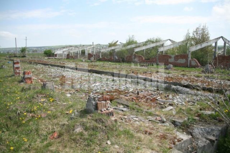 Ce a mai rămas astăzi din fostele spatii ale complexului de taurine
