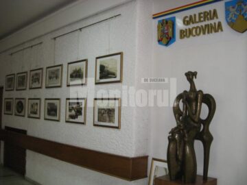 Secvență din expoziție