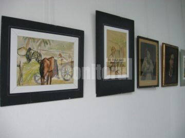 Trei generații - secvență din expoziție