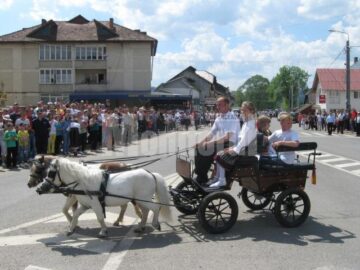 Trăsura trasă de ponei
