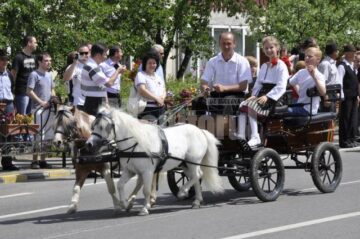 Trăsura trasă de ponei a făcut senzație în rândul spectatorilor
