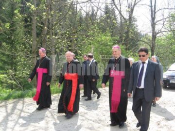 Cardinalul Stanisław Dziwisz , Excelența Sa Petru Gherghel, Episcopul Auxiliar de Iași Aurel Perca și depuatul Ghervazen Longher