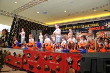 Festivalul Concurs „Voinicelul”, ediția 2011, faza județeană