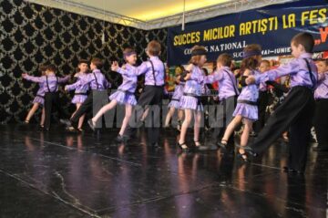 Festivalul Concurs „Voinicelul”, ediția 2011, faza județeană