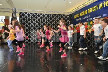 Festivalul Concurs „Voinicelul”, ediția 2011, faza județeană